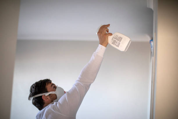 Best Fast Mold Removal  in Darien Downtown, CT