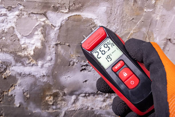 Professional Mold Removal in Darien Downtown, CT