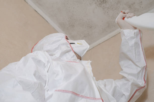 Best Water Damage Restoration  in Darien Downtown, CT
